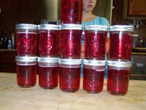 The kids & I made a double batch, ending up with 11 half pinnt jars.